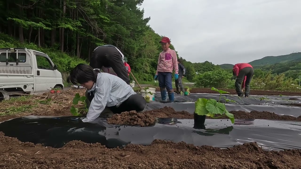 １人１畝百姓（苗植え）