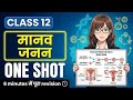 Class 12 Biology Chapter 2 CUET Hindi Medium | Human Reproduction | Up Board Quick Revision