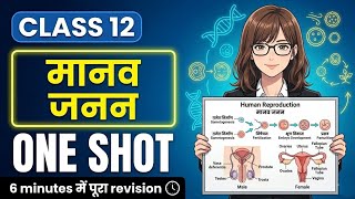 Class 12 Biology Chapter 2 CUET Hindi Medium | Human Reproduction | Up Board Quick Revision