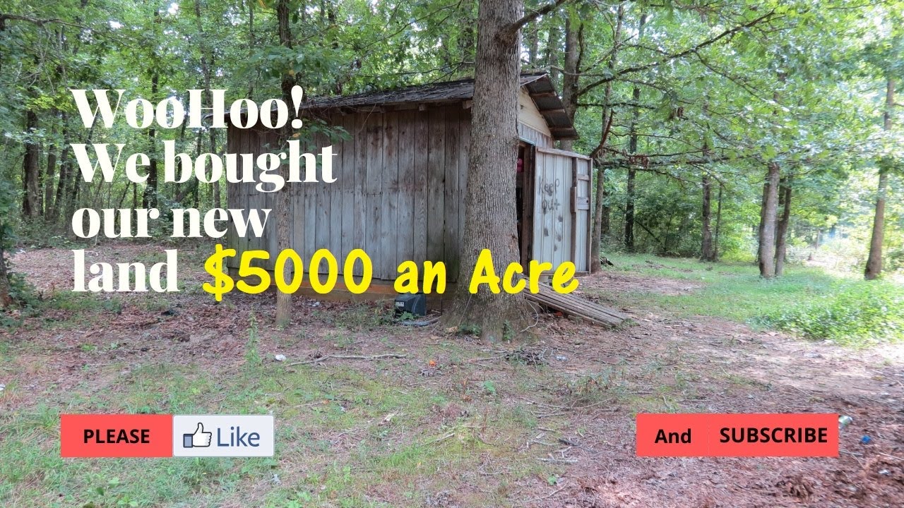 Finally got our homestead land! YouTube