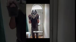 Furry Detectives Solving Crimes!?! #furry #fursuit #furries #fyp #viral