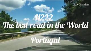 N222 - Driving the best and most beautiful road in the World - Portugal 🇵🇹