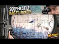 Hunting and accuracy of airgun airrifle shooting with birds for pestcontrol