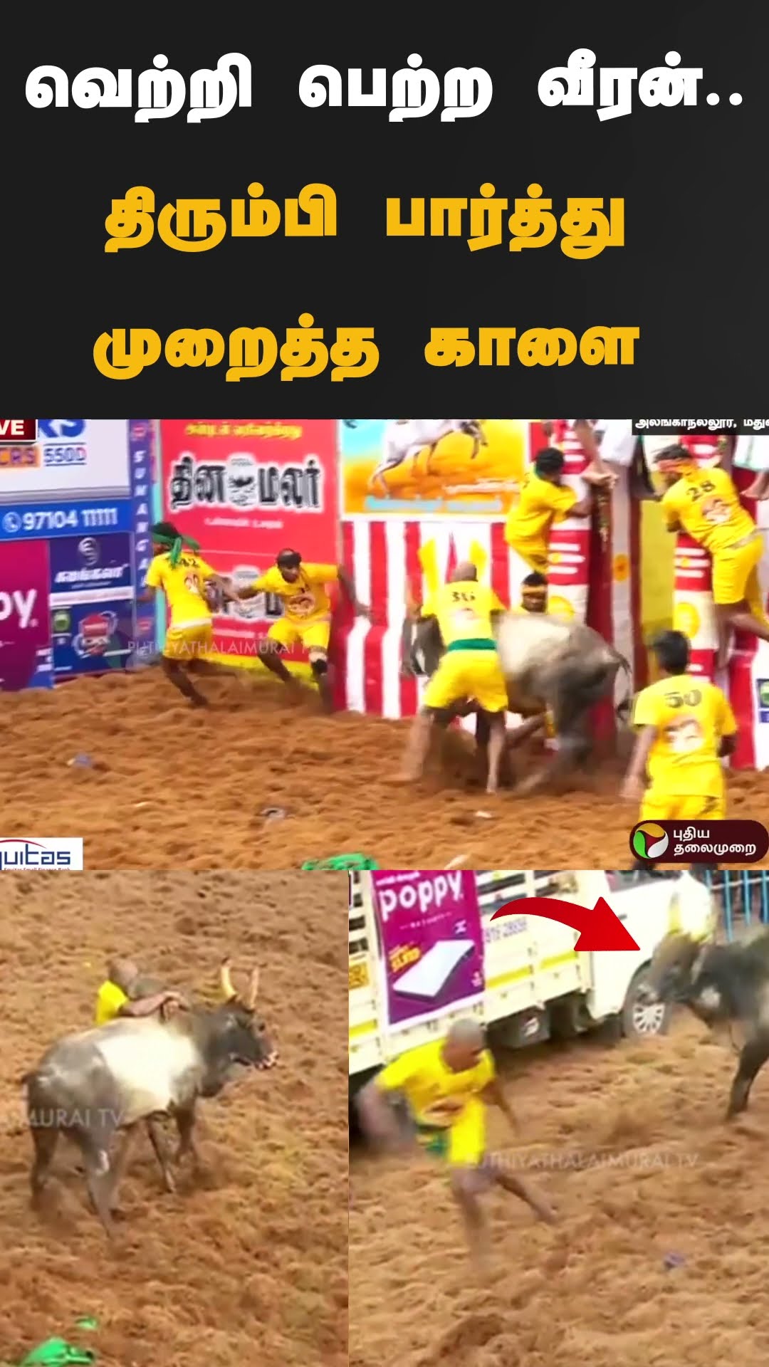 வெற்றி பெற்ற வீரன்..திரும்பி பார்த்து முறைத்த காளை #shorts |  | #madurai | #jallikattu2025