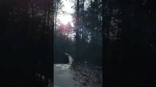 Driving On Fresh Snow