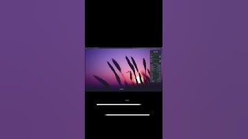 Linux | First Look At DTOS | Possibly The Most Useless Distro !!! The Linux Tube