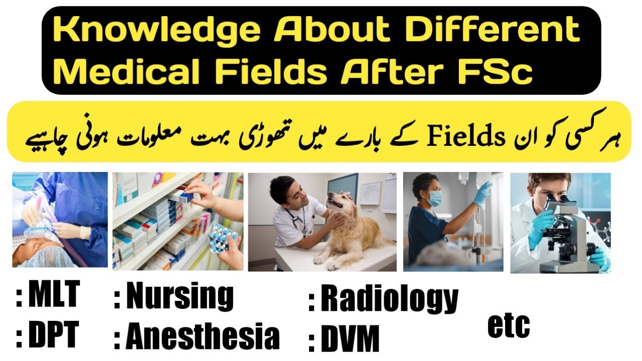 knowledge about fields (careers) of medical science after fsc MLT