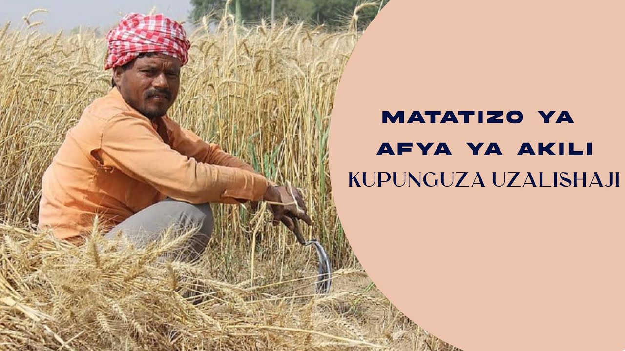 AFYA TIPS: MTU ASIYEKUWA NA UZALISHAJI ANACHANGAMOTO YA AFYA YA AKILI