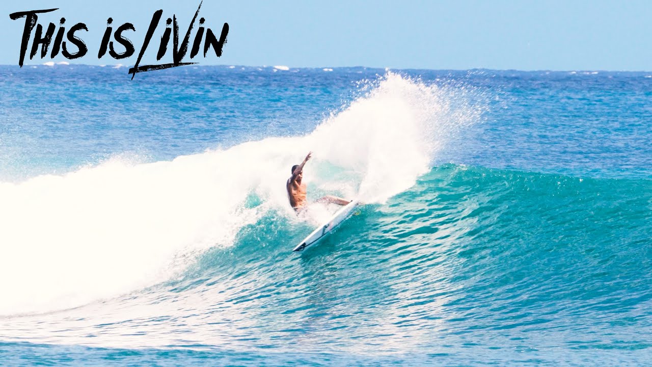 EVIN SURF Waikiki (Bowls)