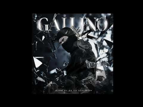 GALLINO