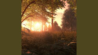Serenity in Silent Notes
