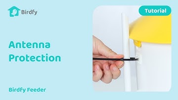 How to Protect the Birdfy Feeder Antenna - Birdfy Feeder Tutorial