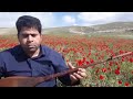 Dotar Xecê Lore آهنگ خجه لوره دوتارنوازی علی امانی فلکلور کردستان خراسان Dotar Xecê Lore آهنگ خجه لوره دوتارنوازی علی امانی فلکلور کردستان خراسان