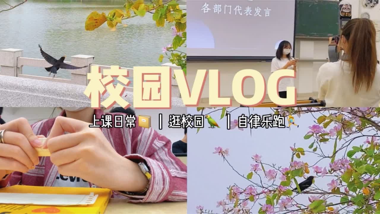 VLOG｜上课日常｜逛校园｜自律乐跑｜看小宝演讲 - YouTube