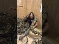 27 GIANT SNAKES🤯 At 20 Feet Each😳
