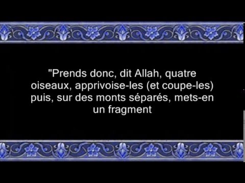 sourat al baqara saoud shuraim sourat al baqara saoud shuraim