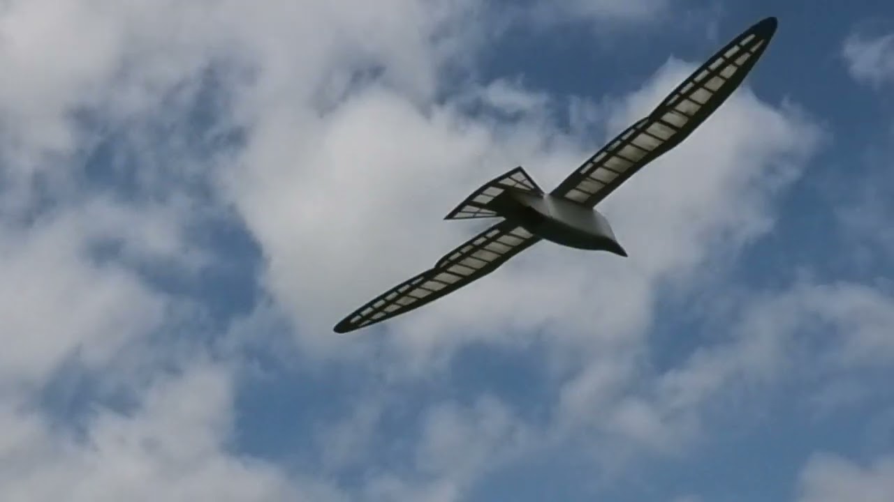 無垂直尾翼鳥型：カモメ Z-WINGの1段階目は良いが2段階目へのつながり