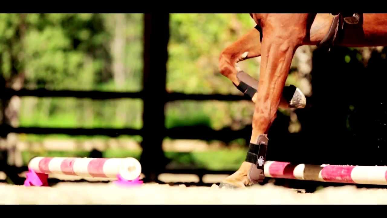 Fouganza - La marque - Film 2013