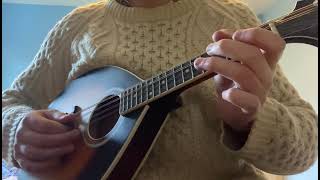 The Rocky Road to Dublin Mandolin