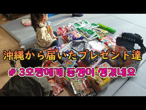 沖縄 船便 ストライキ