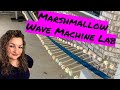 Marshmallow Wave Machine Lab Quiz