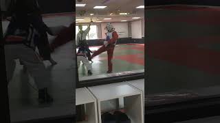 IMG 1072