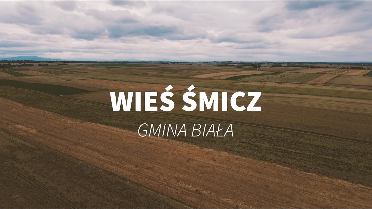 Polish village fields drone footage  - Mavic Air 2