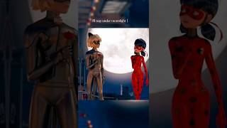 Cat Noir Ill Imagine We Fell In Loveblue