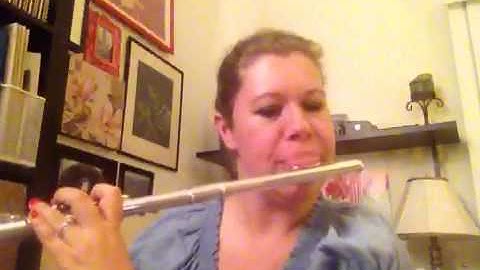 Extended Techniques for Flute