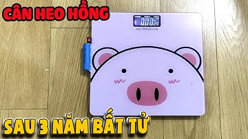 Cân Heo Hồng sau 3 năm và độ lại cân bất cmn tử |Thần Hóng