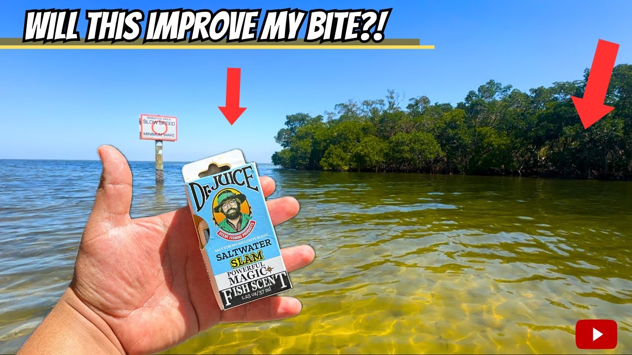 Fishing with DR JUICE Fish Scents in SOUTH FLORIDA! (Saltwater