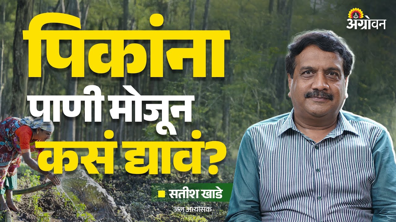 Water Budget : पिकांना किती पाण्याची गरज असते? | Ft. Satish Khade