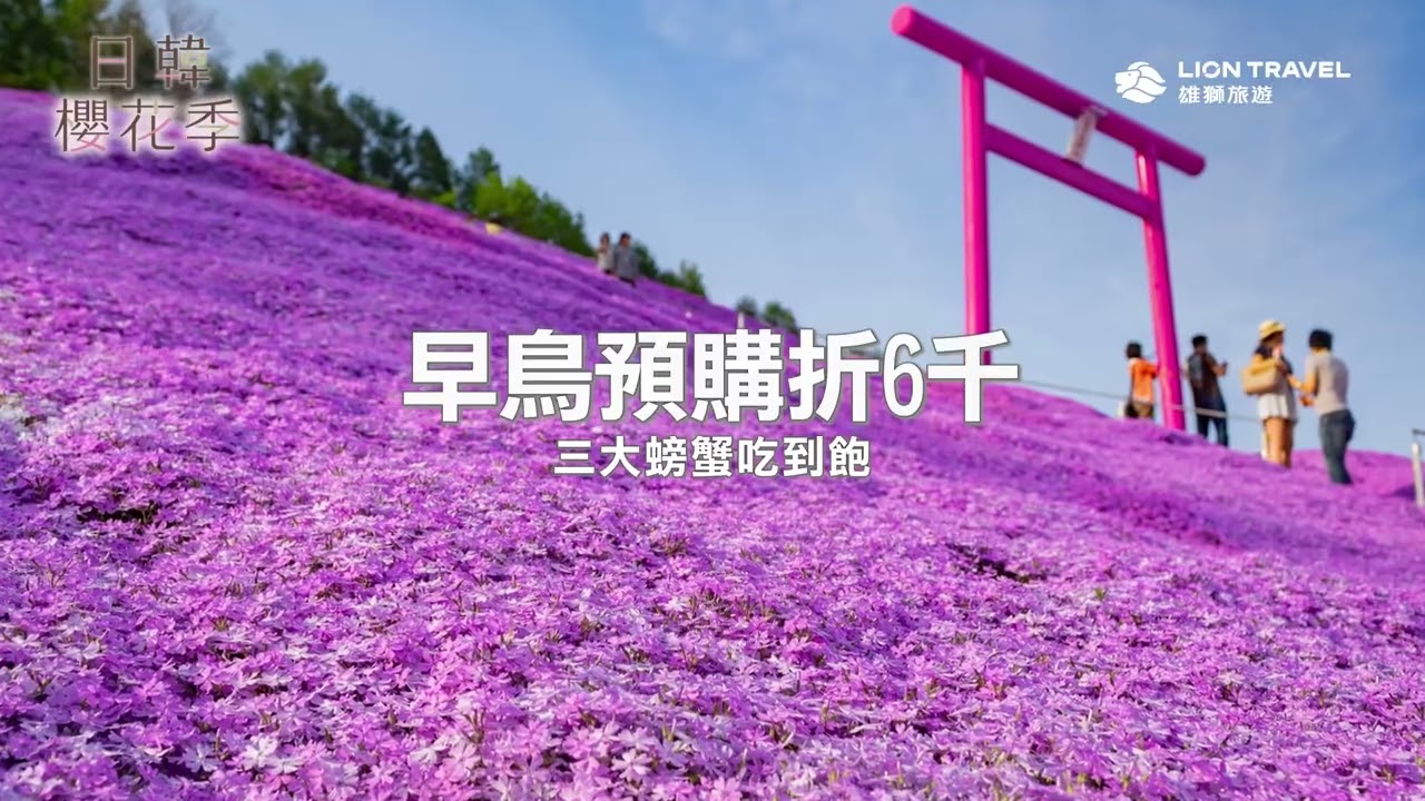 櫻花季一年就一次，日韓賞櫻熱門行程錯過等明年