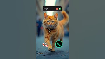 cat is calling #ringtone #smartphone #music #ringtones #song #iphone #cat #funnycallringto #callm