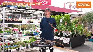 STIHLで夏を楽しもう。 – STIHL – シュティール – チェンソー