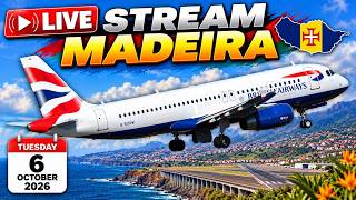 MADEIRA AIRPORT LICE ACTION SHOW / LPMA
