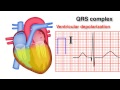 ECG Basics 8/10 - QRS Complex