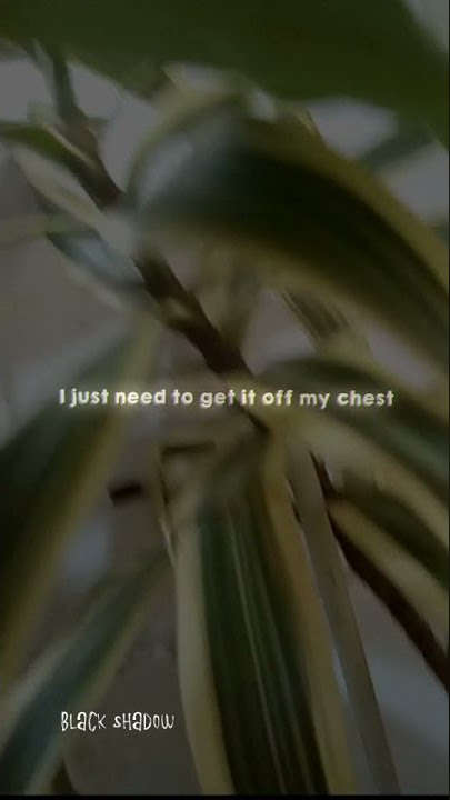 STORY WA LIRIK LAGU 30 DETIK | MORE THAN YOU KNOW | BLACK SHADOW