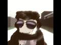 Roblox Edits