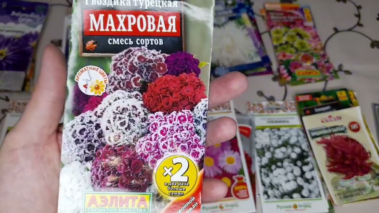 Семена цветов на 2024г. Обзор семян.