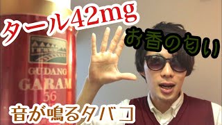 【GARAM】日本で一番タールの高い缶ガラム吸ってみた【タバコレビュ―】
