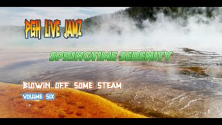 Blowin off Some Steam - Volume 6 - Springtime Serenity (Happy St. Patricks Day)