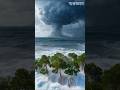 The Sundarbans – The Largest Mangrove Forest in the World | Pride of Bangladesh #shorts