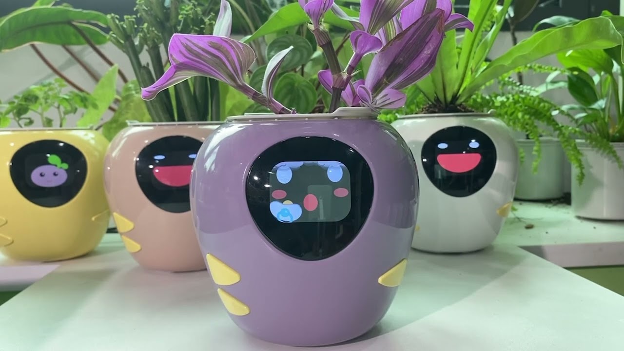 AI×センサーで植物と繋がる。表情でお世話を伝えるPlantbot｜マクアケ