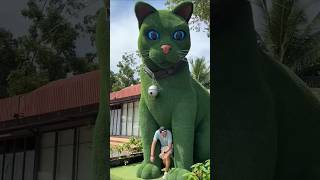 This cat is really alive!#funny #cats#Before / NOW I heard crying cat #crazykozak#shorts #6809#🐈😁😧😲😱