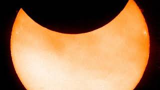 太陽フレア望遠鏡が捉えた2019年1月6日の部分日食