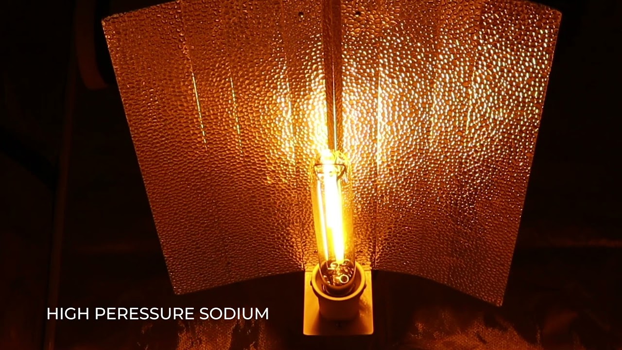 600w HPS Grow Light Package - Herbal House NZ