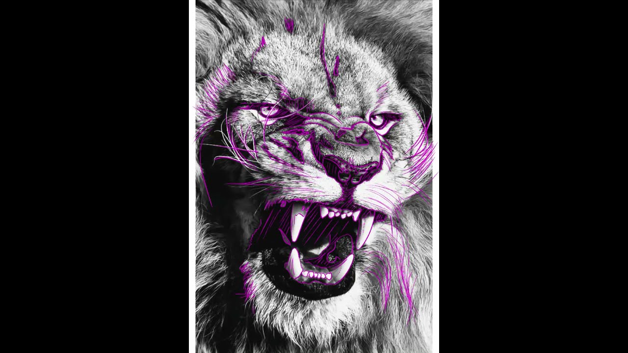 Lion stencil Procreate 