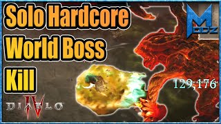 Druid Soloing Ashava World Boss! No longer 17 damage!