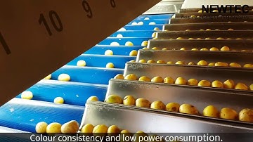 Celox  P-UHD   Size 20 28 mm square mask